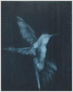 Meyerovich Gallery - San Francisco, CA