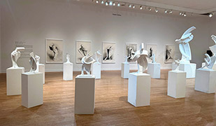 Meyerovich Gallery - San Francisco, CA