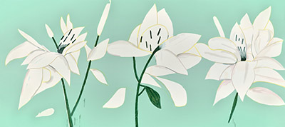 Meyerovich Gallery - San Francisco, CA