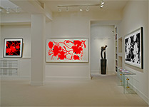 Meyerovich Gallery - San Francisco, CA